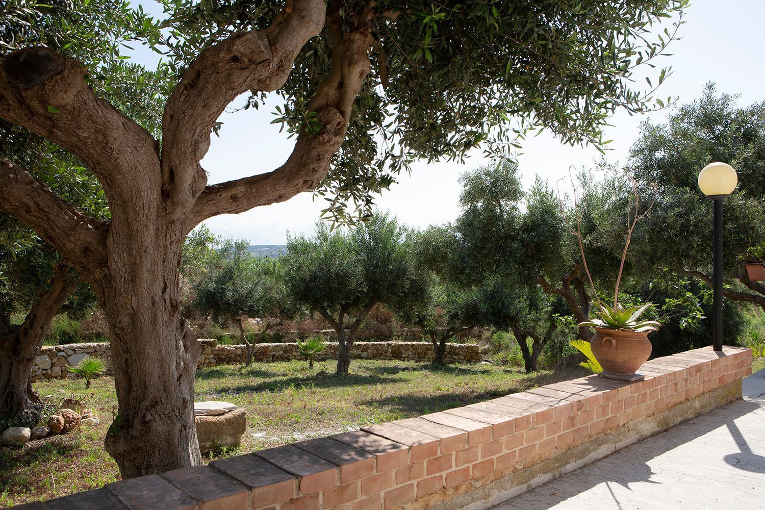 Villa Alessandro Castellammare del Golfo Exterior foto